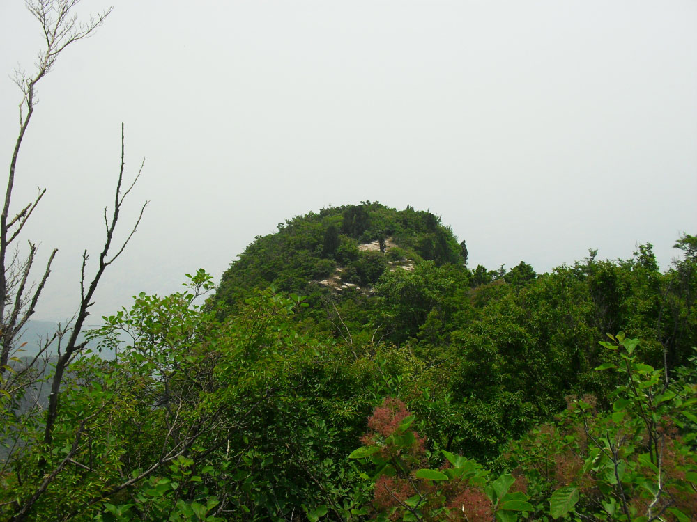 SDC10563.JPG