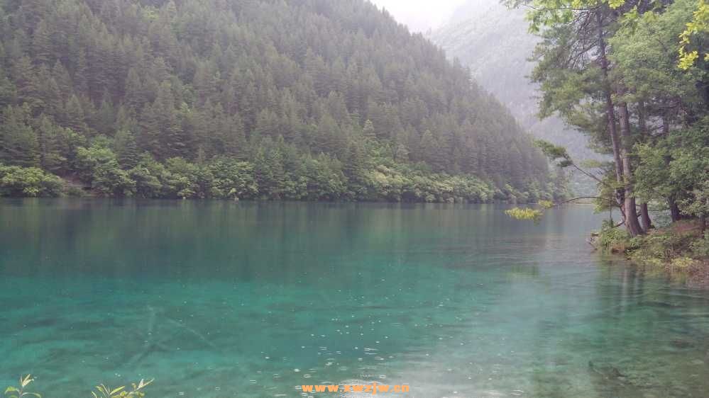 DSC_0613.JPG