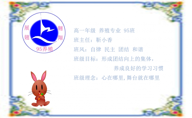 95.jpg