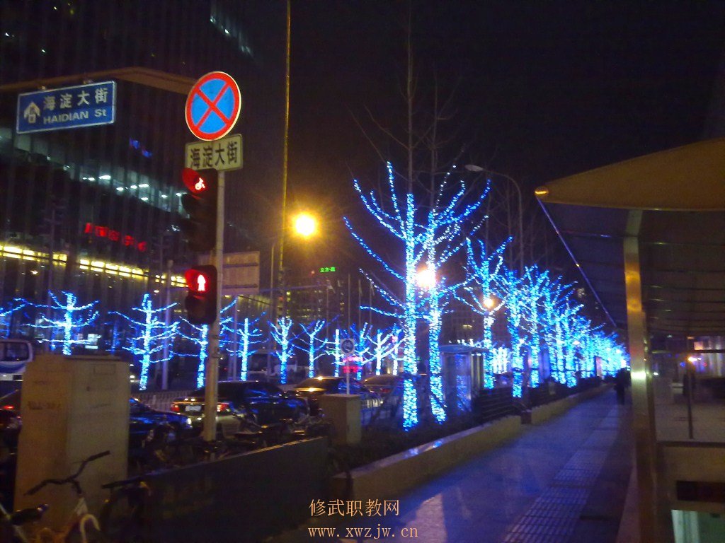 20110116058.jpg